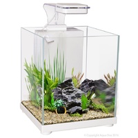 Betta Sanctuary Glass 10L White