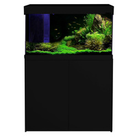 Aquatica 160L Black