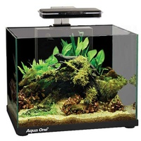 Tank Focus 25 25L Black