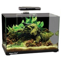 Tank Focus 36 36L Black