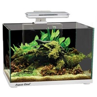 Tank Focus 36 36L White