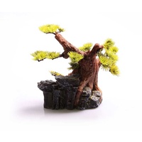 Bonsai with Rock Thick