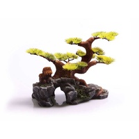 Bonsai with Rock Thin