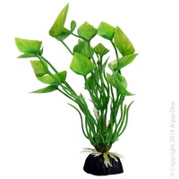 Bettascape Plant Lily Green