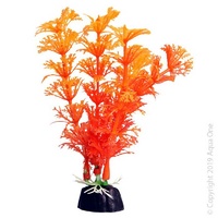 Bettascape Plant Ambulia Orange