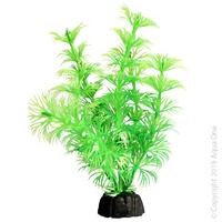Bettascape Plant Ambulia Green