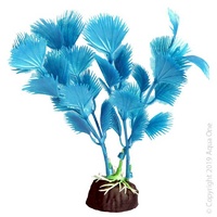 Bettascape Plant Fan Palm Blue