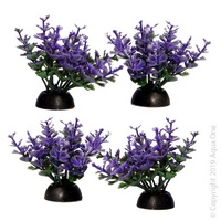 Foreground Plant Catspaw (4 Pack)