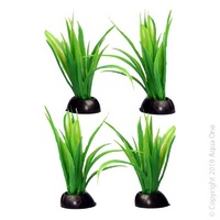 Foreground Plant Largeilaeopsis (4 Pack)