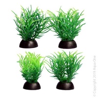 Foreground Plant Ricca (4 Pack)