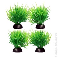 Foreground Plant Hair Grass (4 Pack)