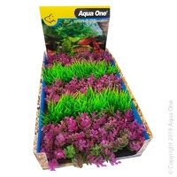 Foreground Plant Catspaw / Hai (1 Piece)