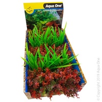 Foreground Plant Catspaw / Lilaeopsis (1 Piece)