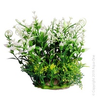 Ecoscape Plant Small Snow Swirl Green