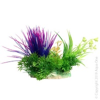 Ecoscape Plant Small Blyxa Purple