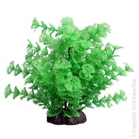 Ecoscape Plant Medium Ambulia Green