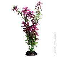 Ecoscape Plant Medium Rotala Red