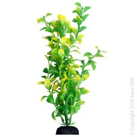 Ecoscape Plant Large Hygro Green