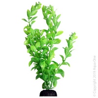 Ecoscape Plant Large Poly Hygro Green