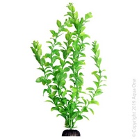Ecoscape Plant XL Poly Hygro Green