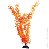 Brightscape XL Ludwig Orange
