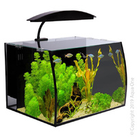 Tank Arc 30 40x32.5x28cm