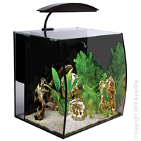 Tank Arc 46 40x34.5x40cm