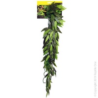 Tradescantia Cascading Plant 72cm Green