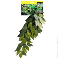 Reptile VarigatedIvy Cascade 40cm