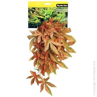 Reptile Hanging Sativia Red 40cm