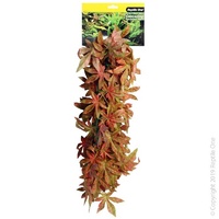 Reptile Hanging Sativia Red 70cm