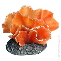 Copi Coral Soft Kelp Brown