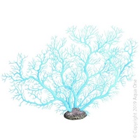 Copi Coral Fan Coral Blue