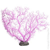Copi Coral Fan Coral Purple