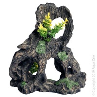 Hollow Stump with Plant