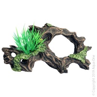 Hollow Driftwood with Plant