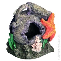 Ruined Jar with Starfish