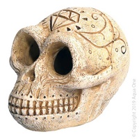 Mini Human Skull