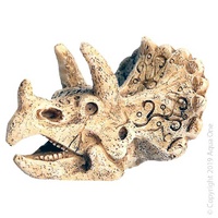 Mini Dino Head with Horn