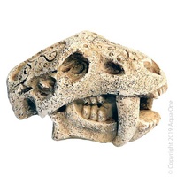 Mini Dino Head with Fangs