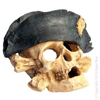 Aqua One Skull With Hat Ornaments