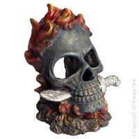 Skull with Fire & Knife