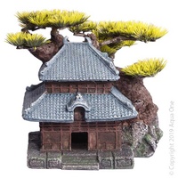Oriental House with Bonsai