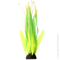 Flexiscape Plant Seagrass Caulerpa Large