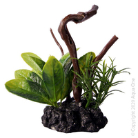 Bettascape Driftwood Lily Leaf Green