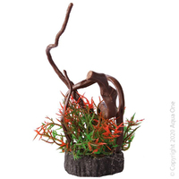 Bettascape Driftwood Tipped Fern Red