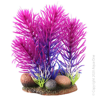 Bettascape Bristleena Rock Blue & Purple
