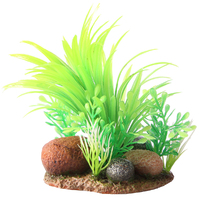 Bettascape Dracaena Rock Garden Green