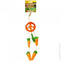 Dreamcatcher Rope & Straw Chew 26cm