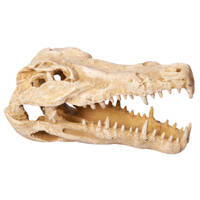 Crocodile Skull Aquarium Ornament